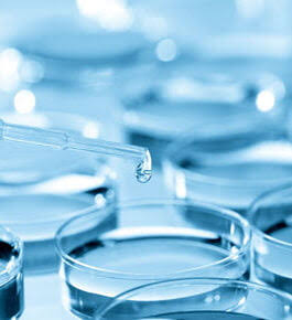 Phenoxyethanol